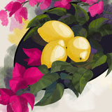 Bougainvillea and lemons Poster och Canvastavla
