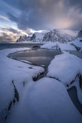 Golden snow Poster och Canvastavla