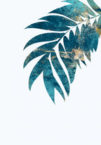 Tropical leaf 3 Poster och Canvastavla