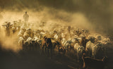 Dusty Roads Poster och Canvastavla