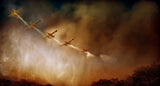 Air Tractor 802 FireBoss Poster och Canvastavla