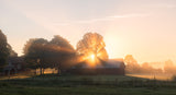 Morning has broken Poster och Canvastavla