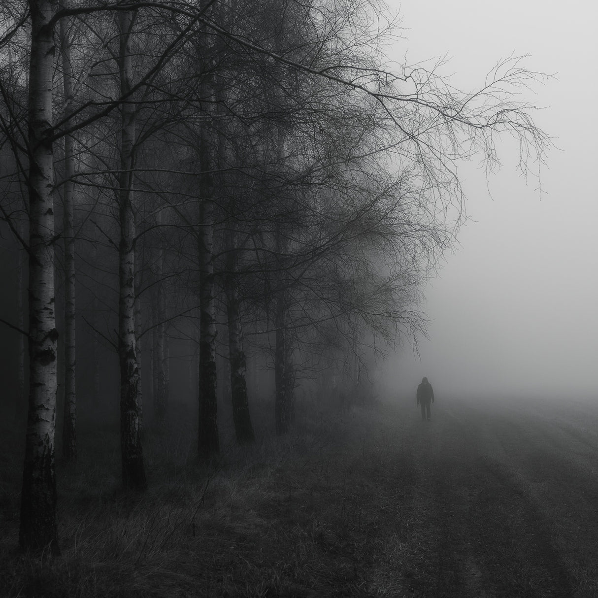 Alone... Poster och Canvastavla
