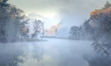 Misty morning Poster och Canvastavla