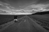 A walk alone Poster och Canvastavla