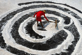 Salt Farmer Harvesting Poster och Canvastavla