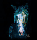 Blue Bashful Horse Poster och Canvastavla