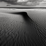 Umbrella on the beach............... Poster och Canvastavla