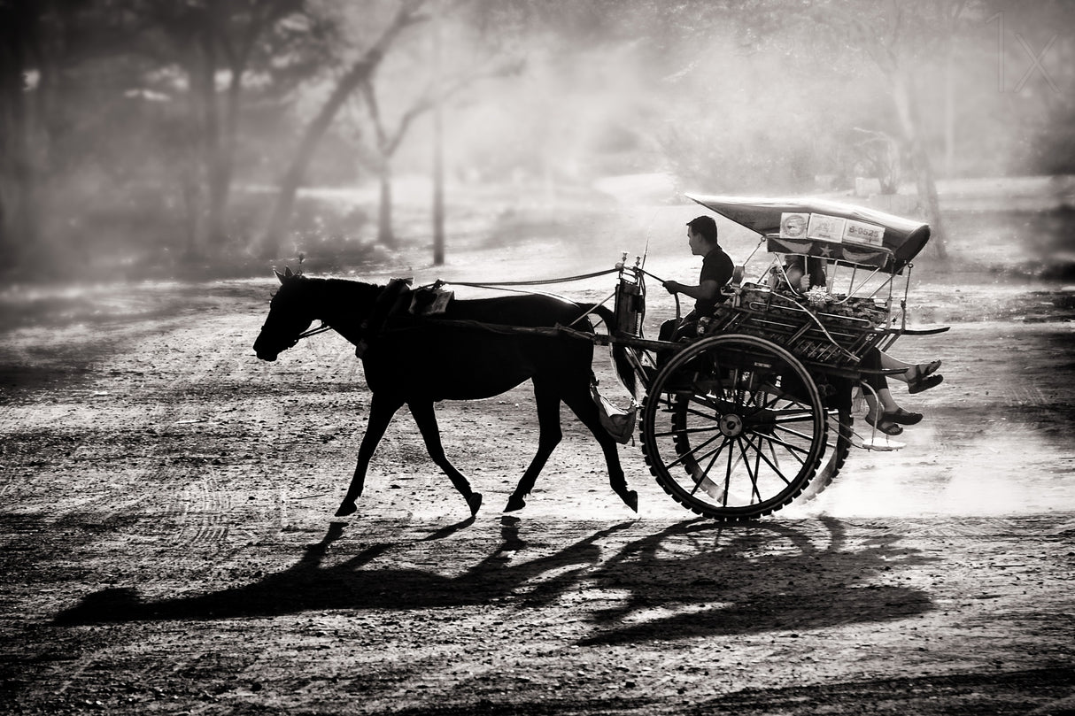 Dusty Horse Ride Poster och Canvastavla