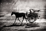 Dusty Horse Ride Poster och Canvastavla