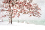 Snow at the lake Poster och Canvastavla