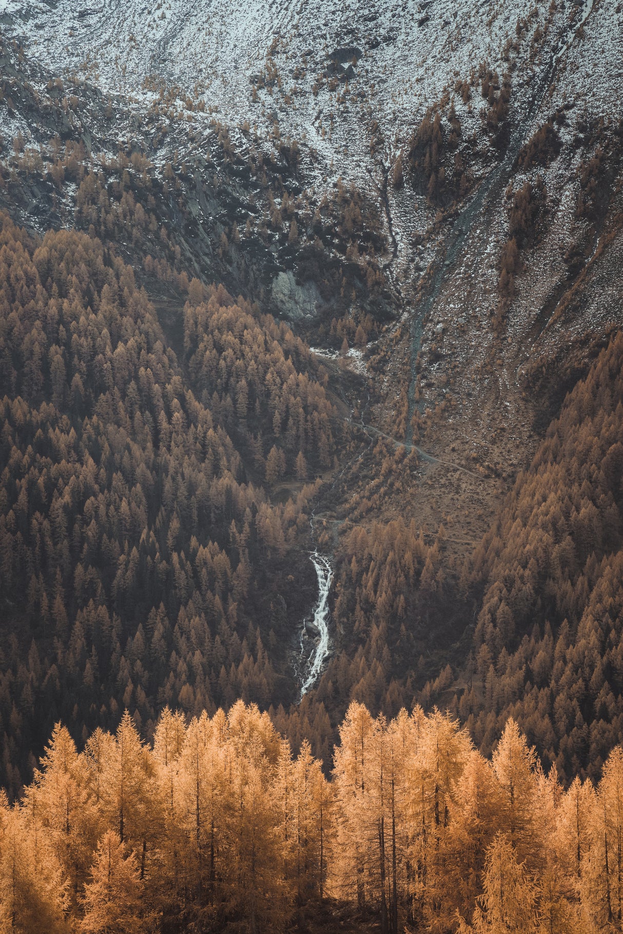 The Drapery Falls Poster och Canvastavla