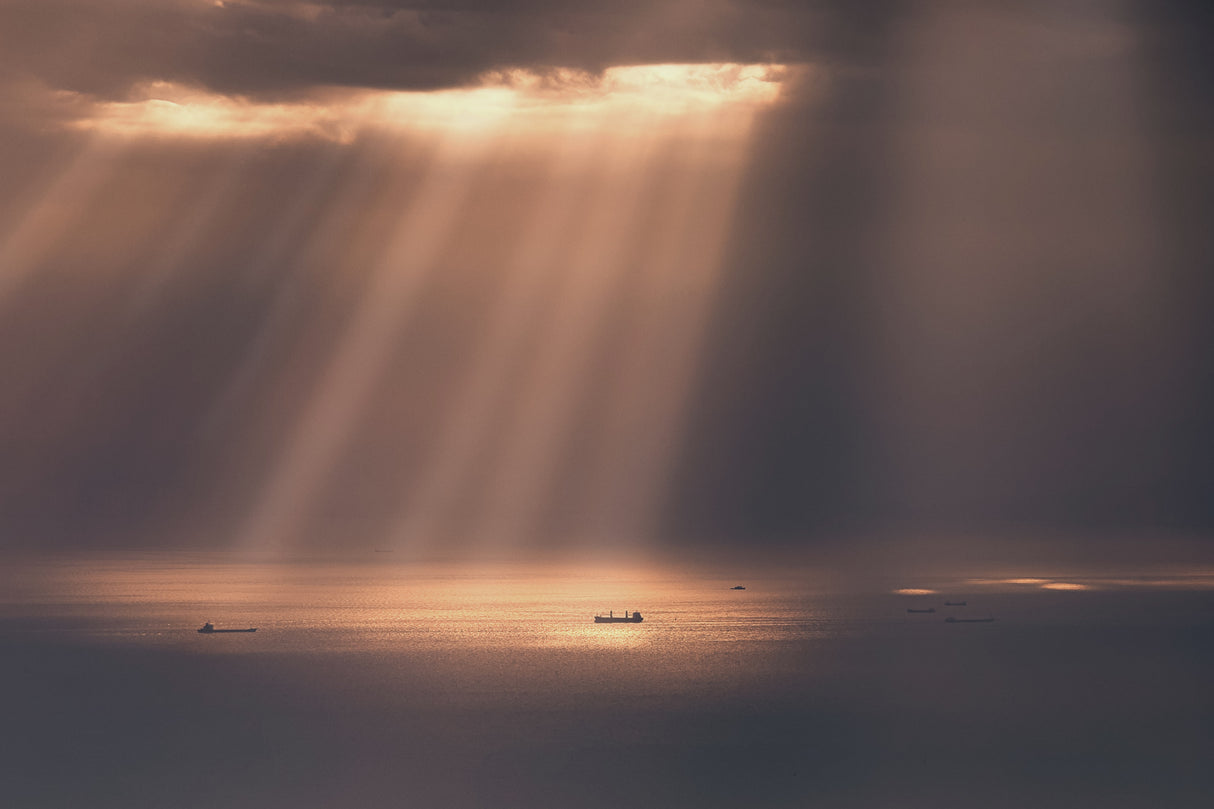 Light Rain Poster och Canvastavla