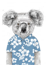 Summer Koala (blue) Poster och Canvastavla
