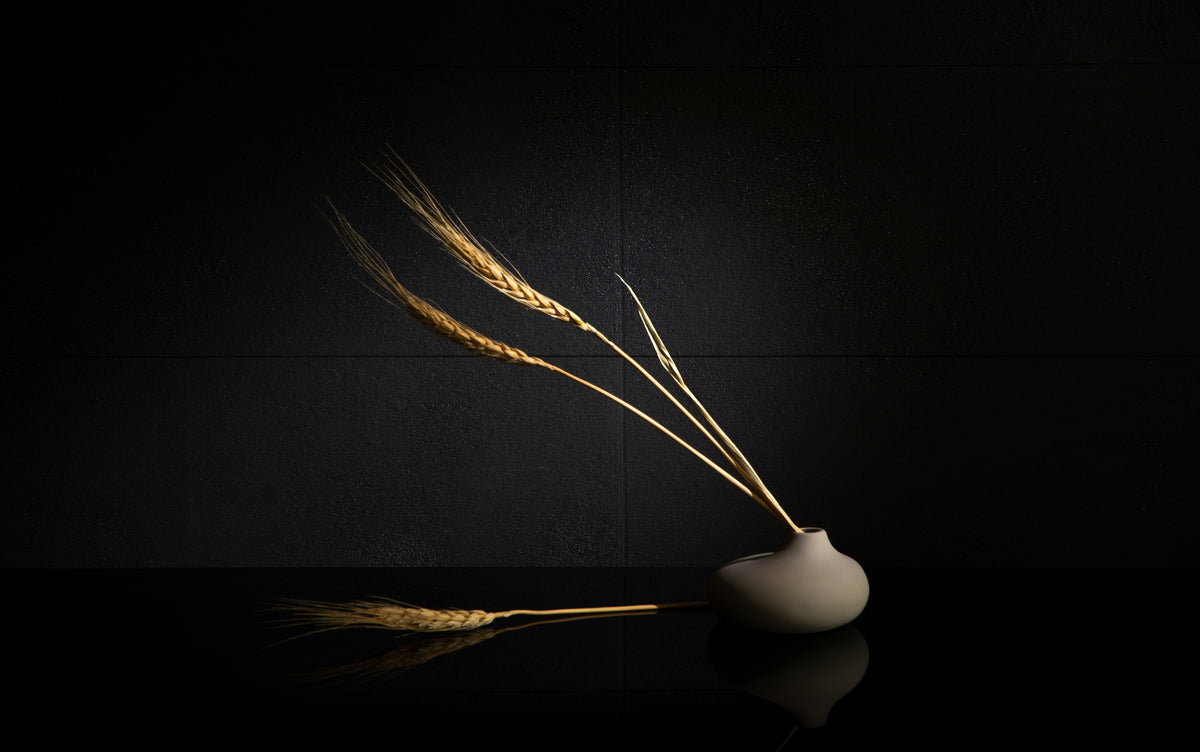 Wheat Poster och Canvastavla