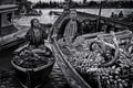 Selling Harvest Poster och Canvastavla