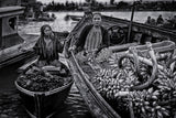 Selling Harvest Poster och Canvastavla