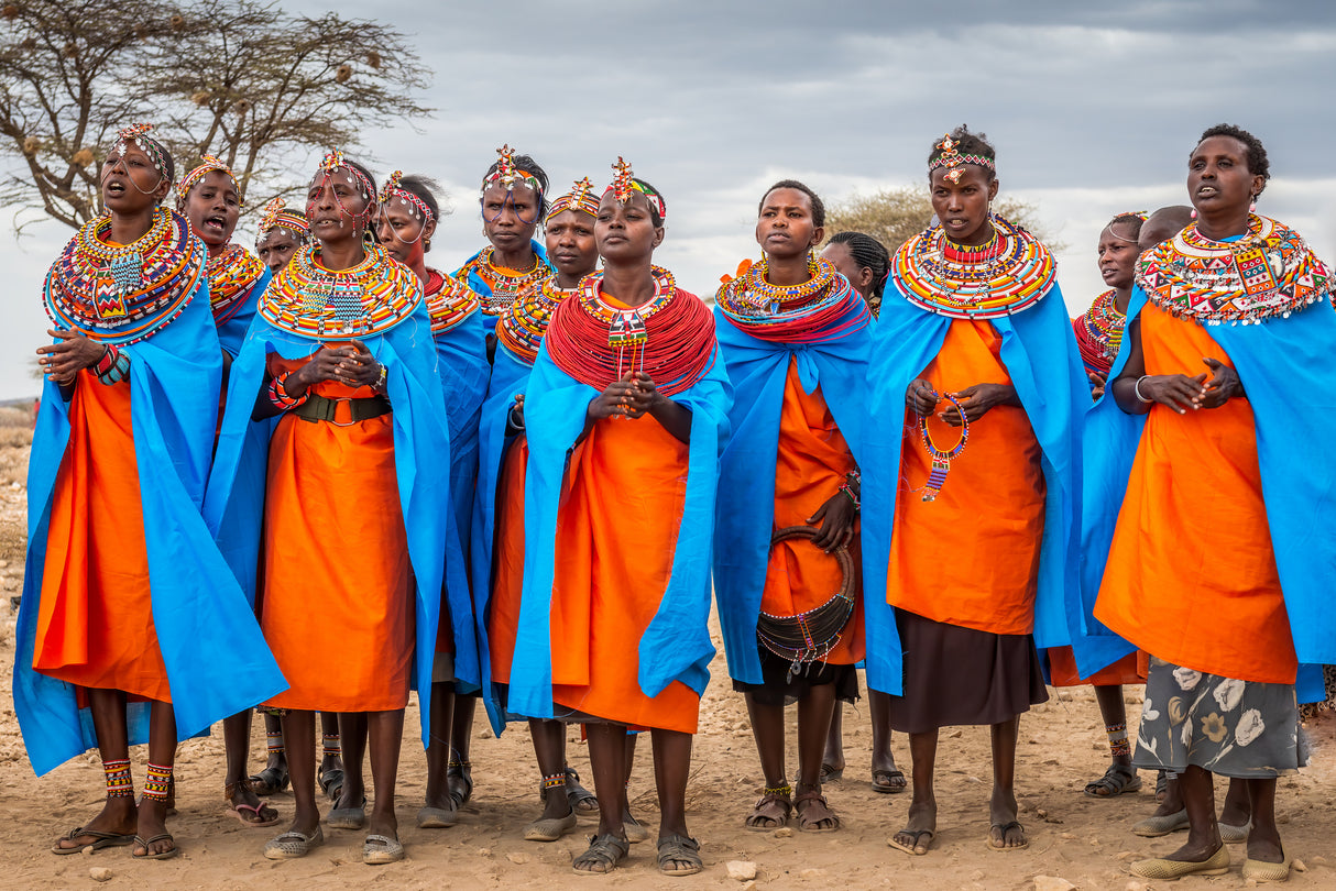 The magnificent Samburu Poster och Canvastavla