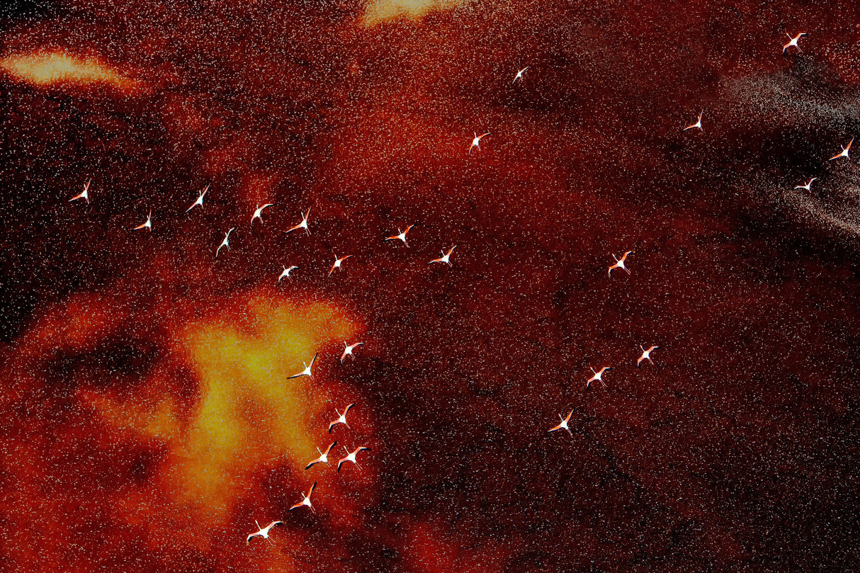 Flying angels on the fire Poster och Canvastavla