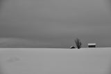 Snow Fields Poster och Canvastavla