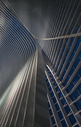 Calatrava lines at the blue hour Poster och Canvastavla