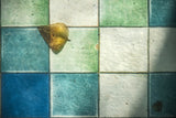 Still life...at the bottom of a pond Poster och Canvastavla