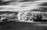 Chapel in InfraRed Poster och Canvastavla