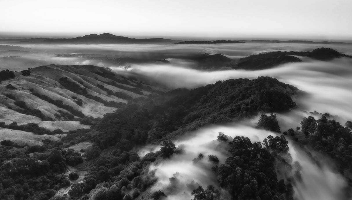 A Foggy Morning at Berkeley Poster och Canvastavla