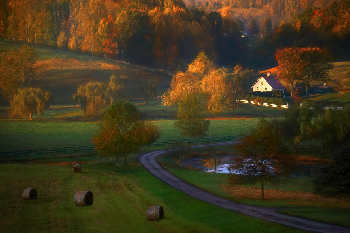 Fall Morning Poster och Canvastavla