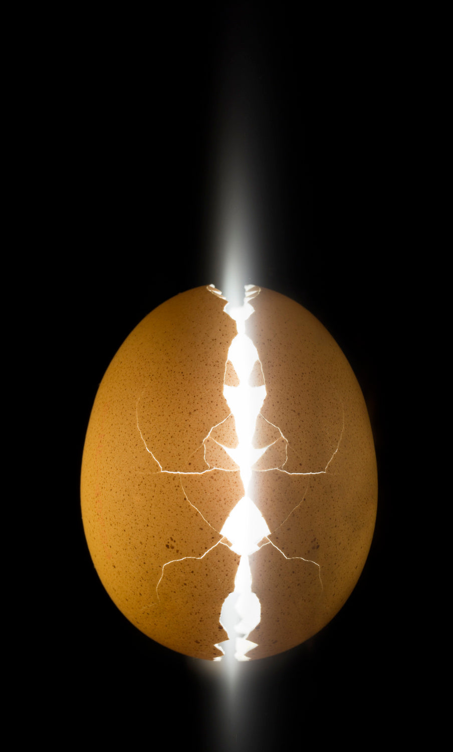 Alien egg Poster och Canvastavla