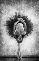 The Cassowary Dance Poster och Canvastavla