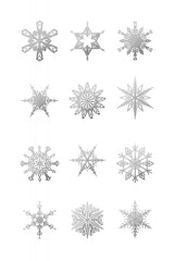 Twelve geometric snowflakes in gray Poster och Canvastavla