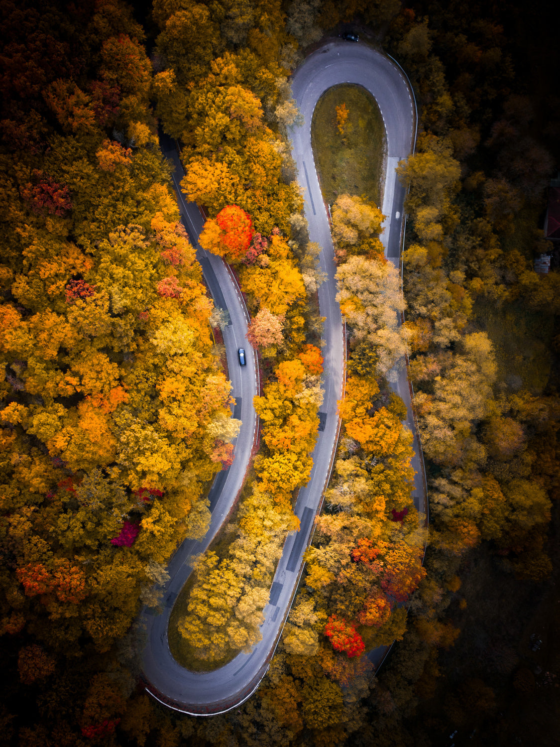 Fall vibes Poster och Canvastavla