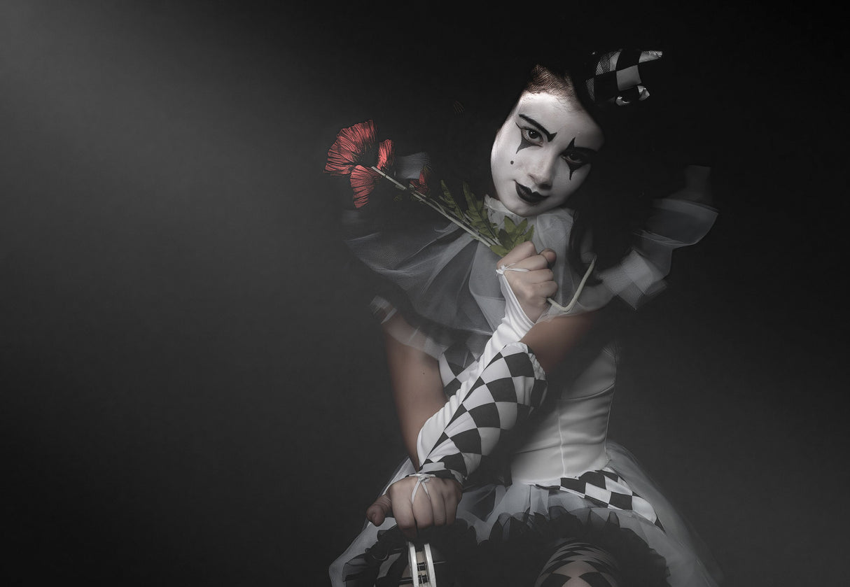 Send in the Clowns , Dont bother they're Here :o) Poster och Canvastavla