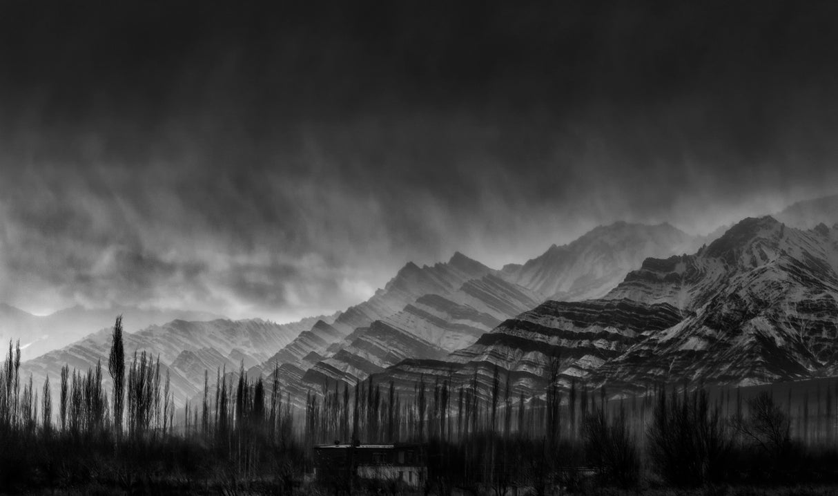 Zebra Mountains Poster och Canvastavla