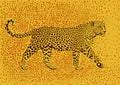 Leopard Rosette camouflage Poster och Canvastavla