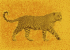 Leopard Rosette camouflage Poster och Canvastavla