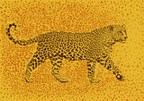 Leopard Rosette camouflage Poster och Canvastavla
