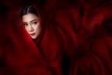 red velvet Poster och Canvastavla