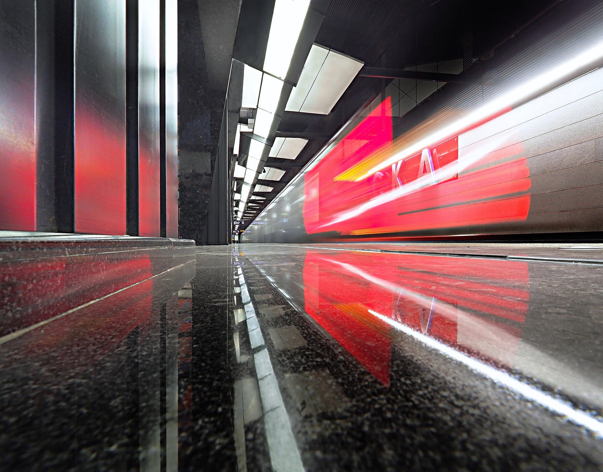 Moscow metro - red dragon Poster och Canvastavla
