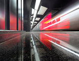 Moscow metro - red dragon Poster och Canvastavla