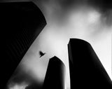 The Lost Bird-Homage for André Kertész Poster och Canvastavla