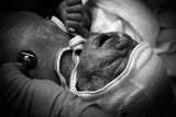 First Breath Poster och Canvastavla