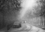 Snowstorm Poster och Canvastavla