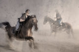 Gallop along the beach Poster och Canvastavla