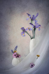 Irises Poster och Canvastavla