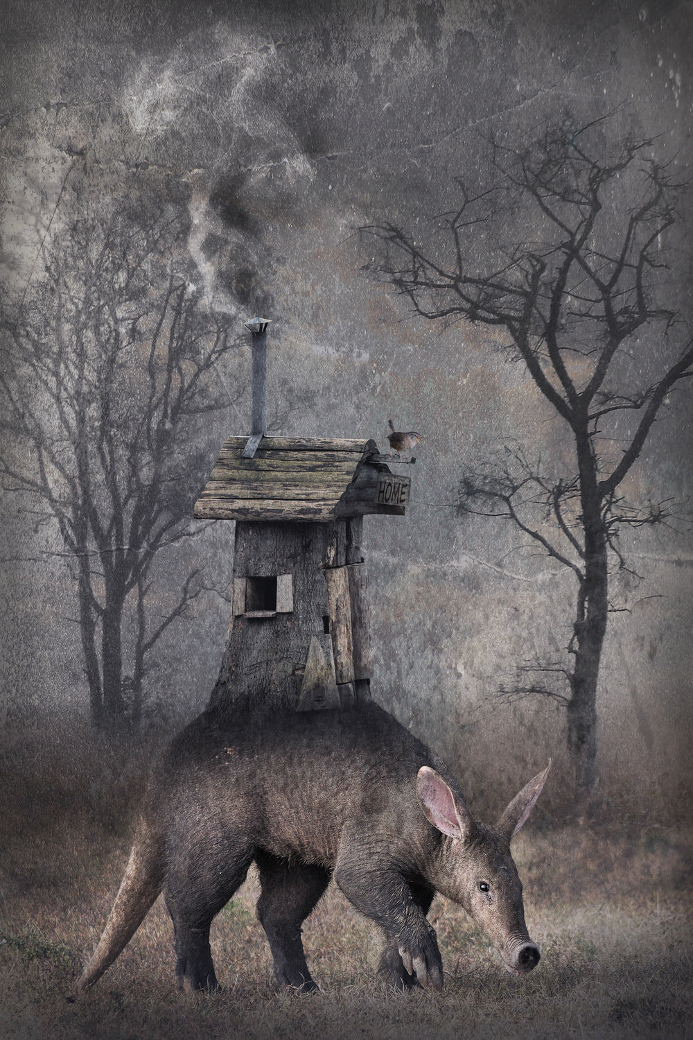 My hut on the back Poster och Canvastavla