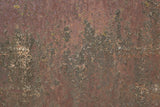 Rust 26 Poster och Canvastavla