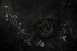 Rose noire Poster och Canvastavla