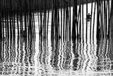 Behind the barcode Poster och Canvastavla